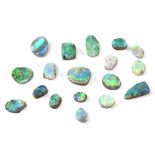 Approximately eighteen polished opal segments of various shapes and sizes,