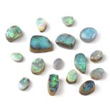 Approximately sixteen polished opal segments of various shapes and sizes,
