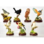 A group of seven Atlas Editions collection 'The British Birds' models,