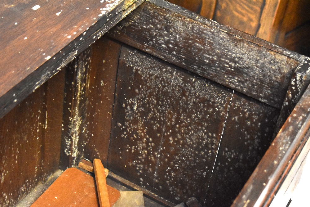 An early 19th century oak mule chest, lift-up top above six faux doors, - Image 4 of 7