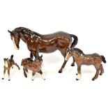 BESWICK; four brown gloss horses, to include a pony and a foal, height of largest 18cm,