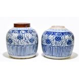 A pair of late 19th/early 20th century Chinese blue and white ginger jars, each decorated with a