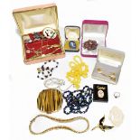 A small collection of costume jewellery including necklace set with amber coloured stones, various