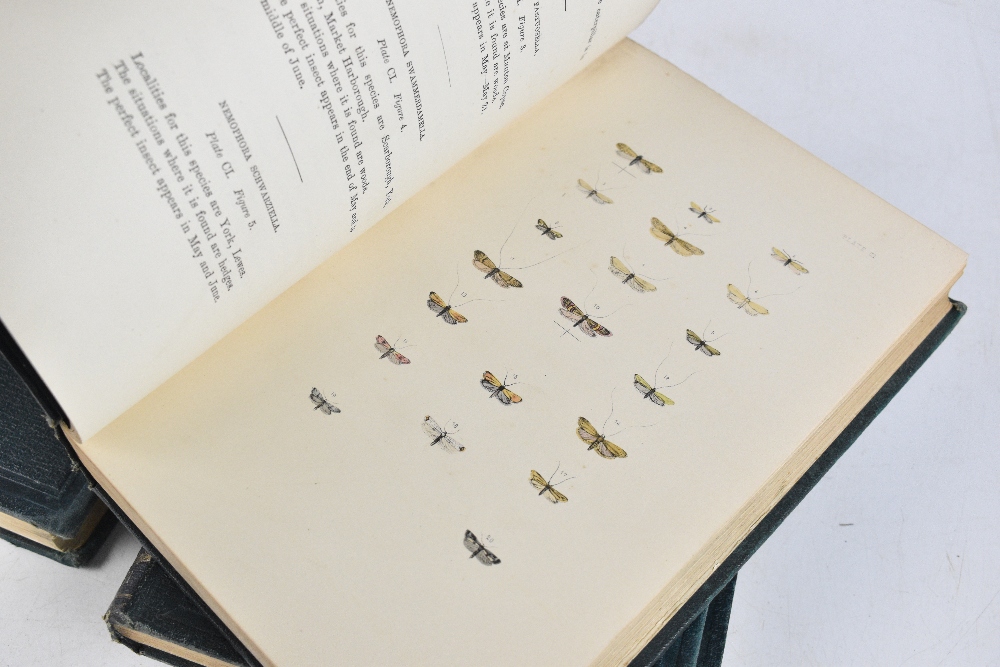 MORRIS, REV. F; A NATURAL HISTORY OF BRITISH MOTHS, third edition in four volumes, with hand - Image 8 of 9