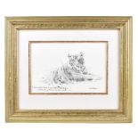 DAVID SHEPHERD CBE FRSA FGRA (1931-2017); pencil study, a tiger at rest, signed and with inscription