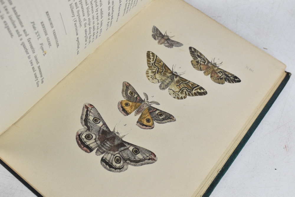 MORRIS, REV. F; A NATURAL HISTORY OF BRITISH MOTHS, third edition in four volumes, with hand - Image 4 of 9