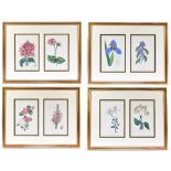 Eight 19th century hand coloured botanical prints, framed and glazed as four pairs, each 22 x