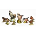 BESWICK; a collection of eight bird figures including jay, numbered 2417, lesser spotted woodpecker,