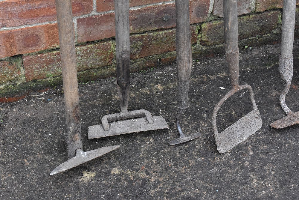 A collection of thirteen agricultural and garden tools, including hoes, a turf spade, and other - Image 2 of 4