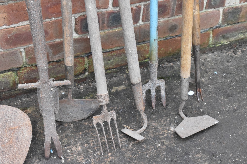 A collection of thirteen agricultural and garden tools, including hoes, a turf spade, and other - Image 4 of 4