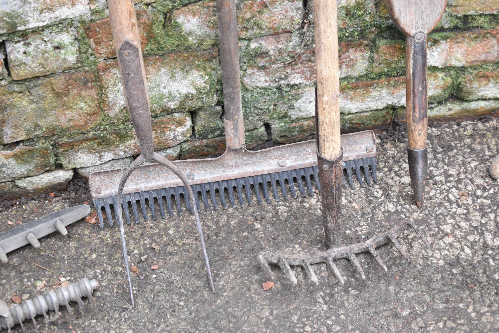 A collection of nine vintage agricultural and garden tools, including a long armed lopper, six - Image 3 of 4