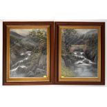 J FAIRFAX; two 19th century oils, both depicting small waterfalls on mountainous streams,