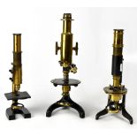 Three brass and black lacquered microscopes, height of largest 34cm.