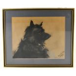 ANNE BEUIS; charcoal, a terrier, indistinctly signed lower right, 30.5 x 36cm, framed and glazed.