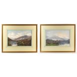 ENOCH WARD R.B.A (1859-1922); a pair of watercolours, sheep and highland cattle in landscape