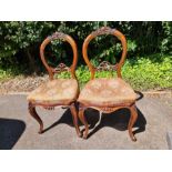 Pair of carved walnut balloon back chairs, upholstered.