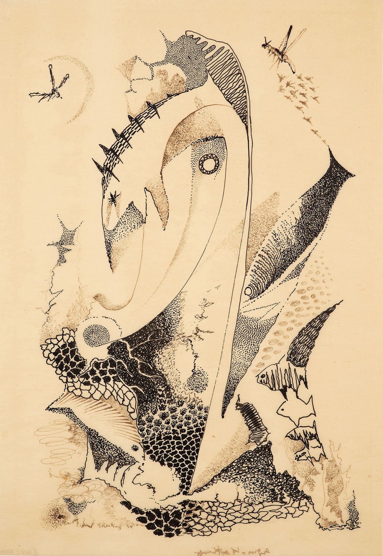 Edmund Kesting – Fische und Insekten.