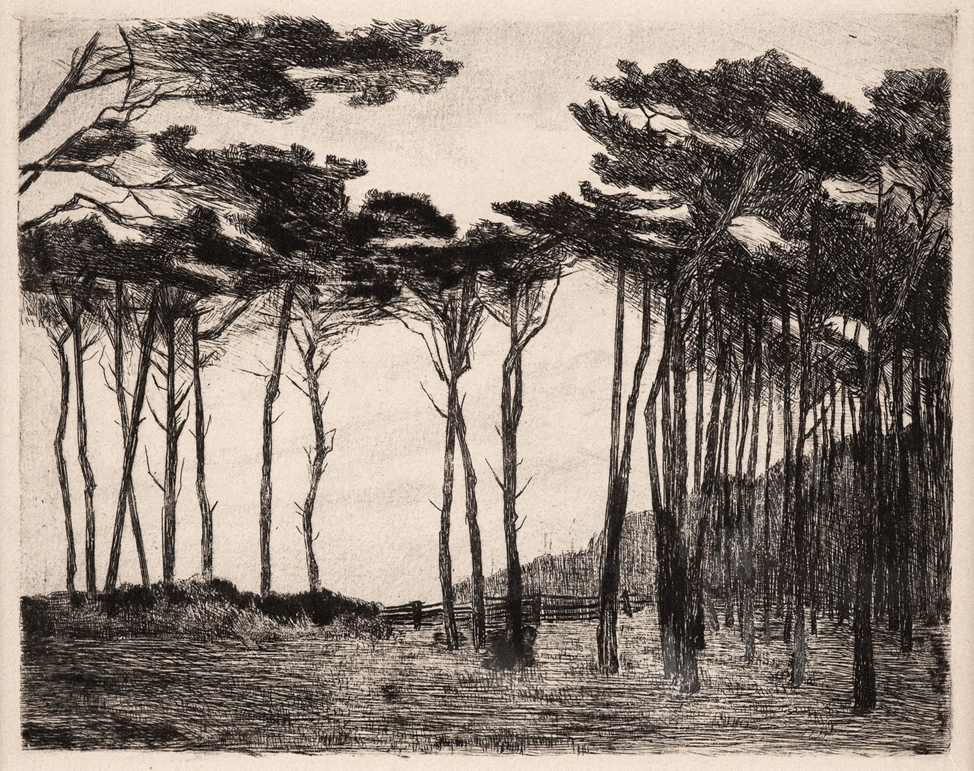 Lyonel Feininger – Bäume in Graal (Trees in Graal).