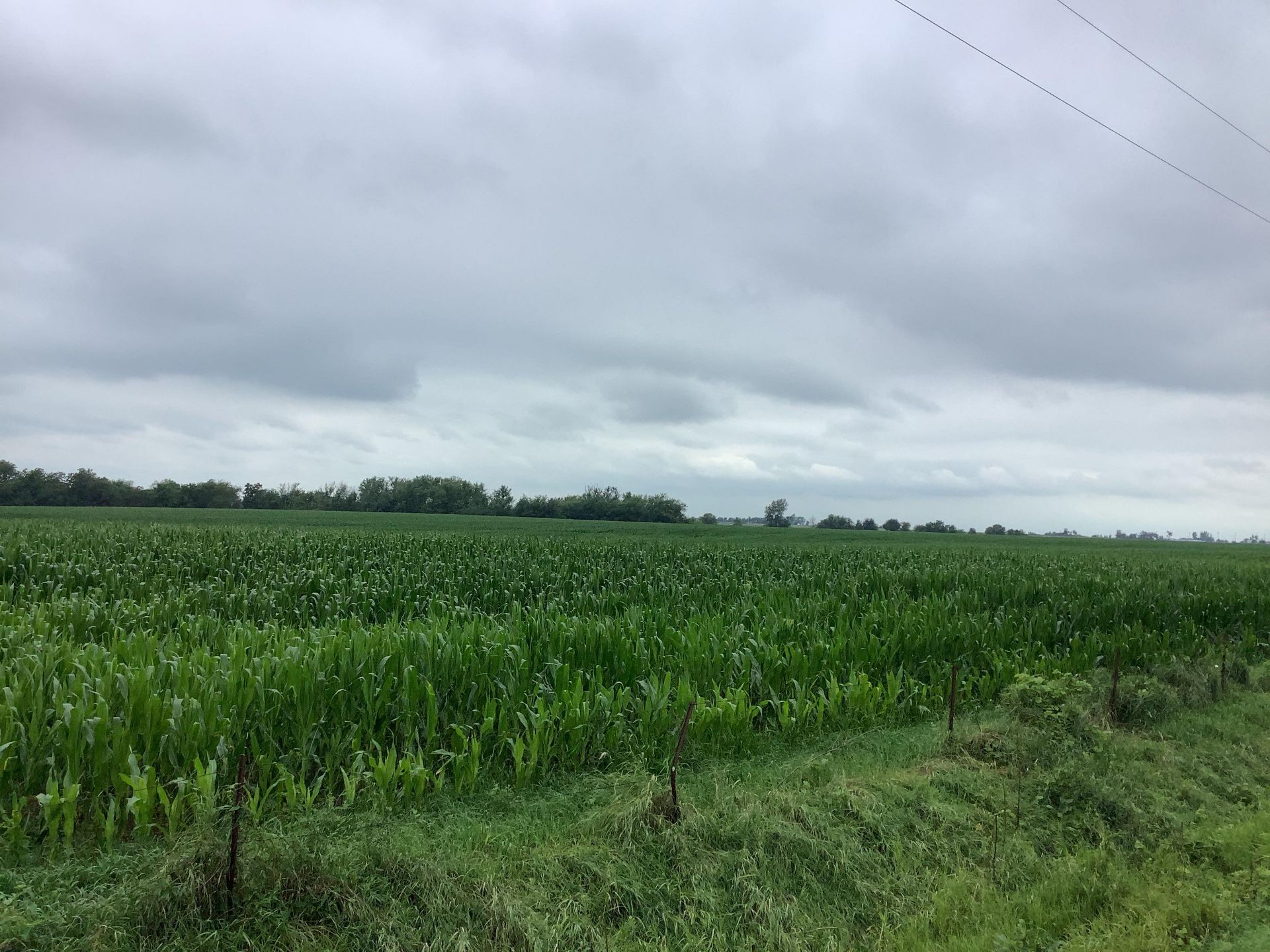 Jefferson County 78 Acres M/L Farm for Auction