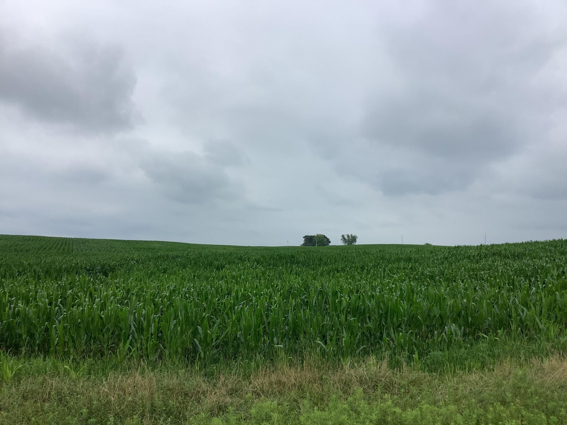 Jefferson County 78 Acres M/L Farm for Auction - Image 12 of 12