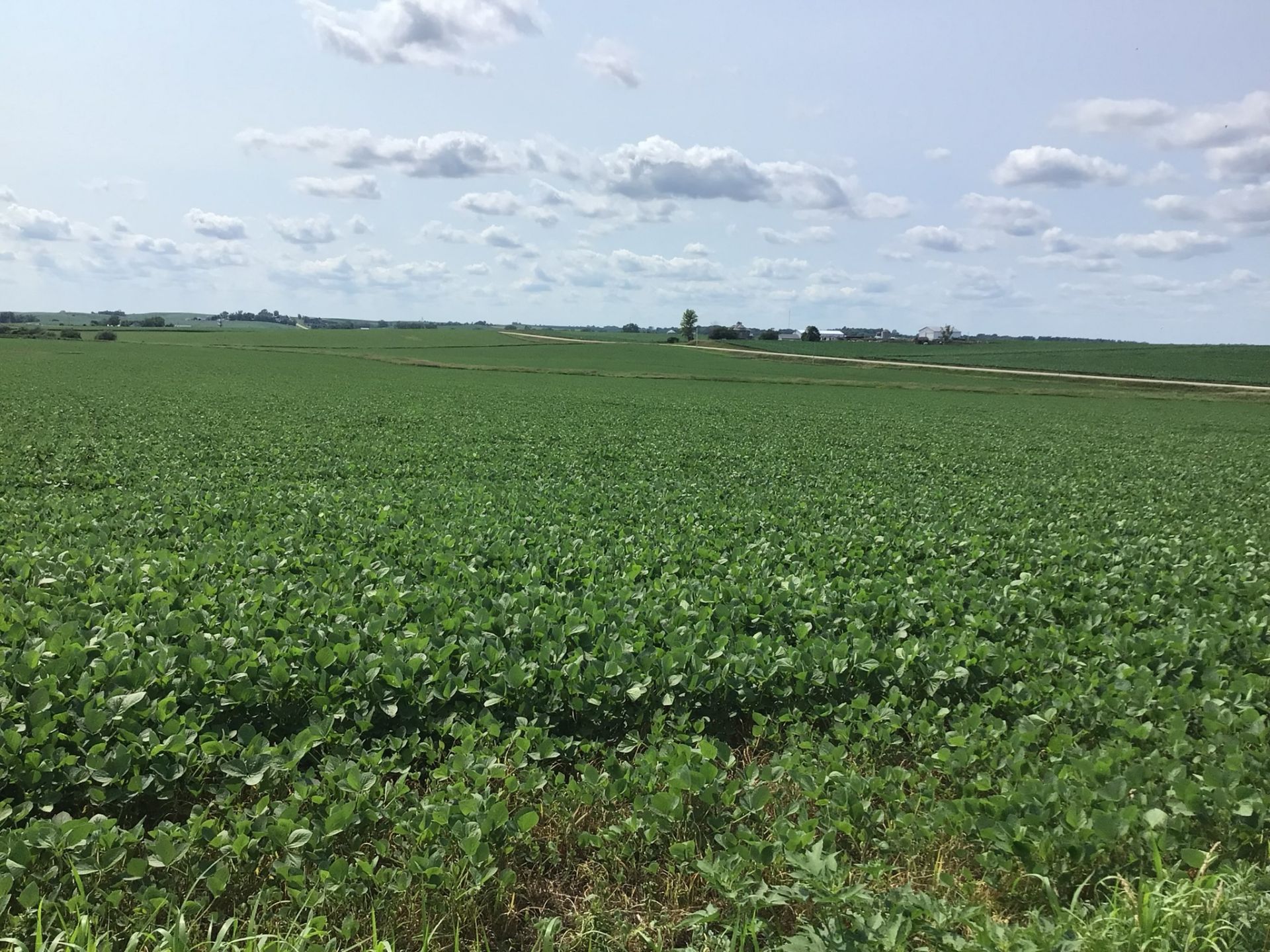 Clinton County 91 Acres M/L - Image 2 of 9