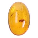 Natural Baltic Amber with fly inclusion (Psychodidae)