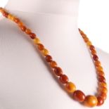 Eggyolk Amber Necklace with Gold Clasp