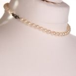 Pearl Necklace with Art Deco Marcassite Silver Clasp