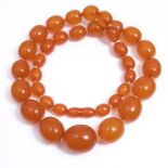 NO RESERVE PRICE Amber Necklace