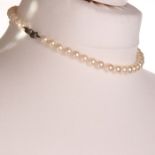 NO RESERVE PRICE Pearl Necklace with Art Deco Marcassite Silver Clasp