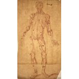 XVII Old Master Skeleton Anatomical Study Drawing