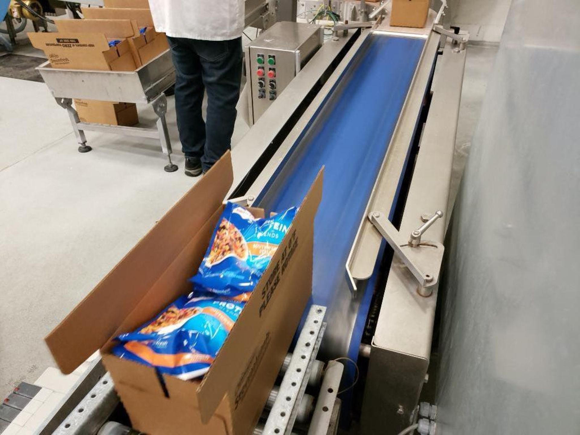 Design Services case settling conveyor - Image 3 of 7