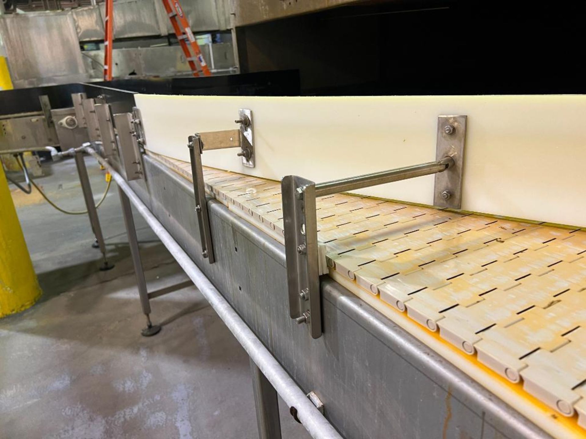 stainless steel can conveyor - Image 8 of 14