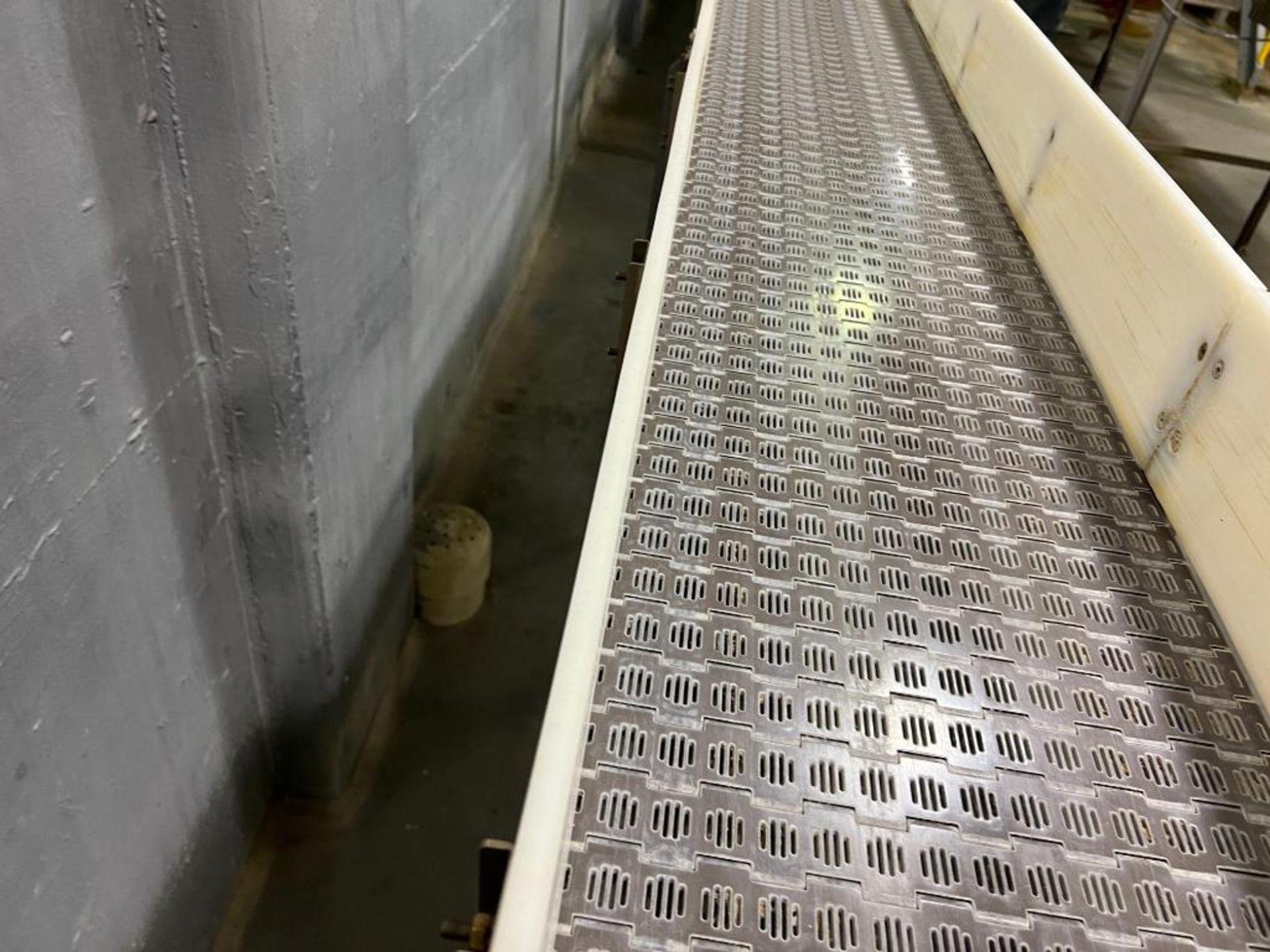 stainless steel can conveyor - Image 4 of 14