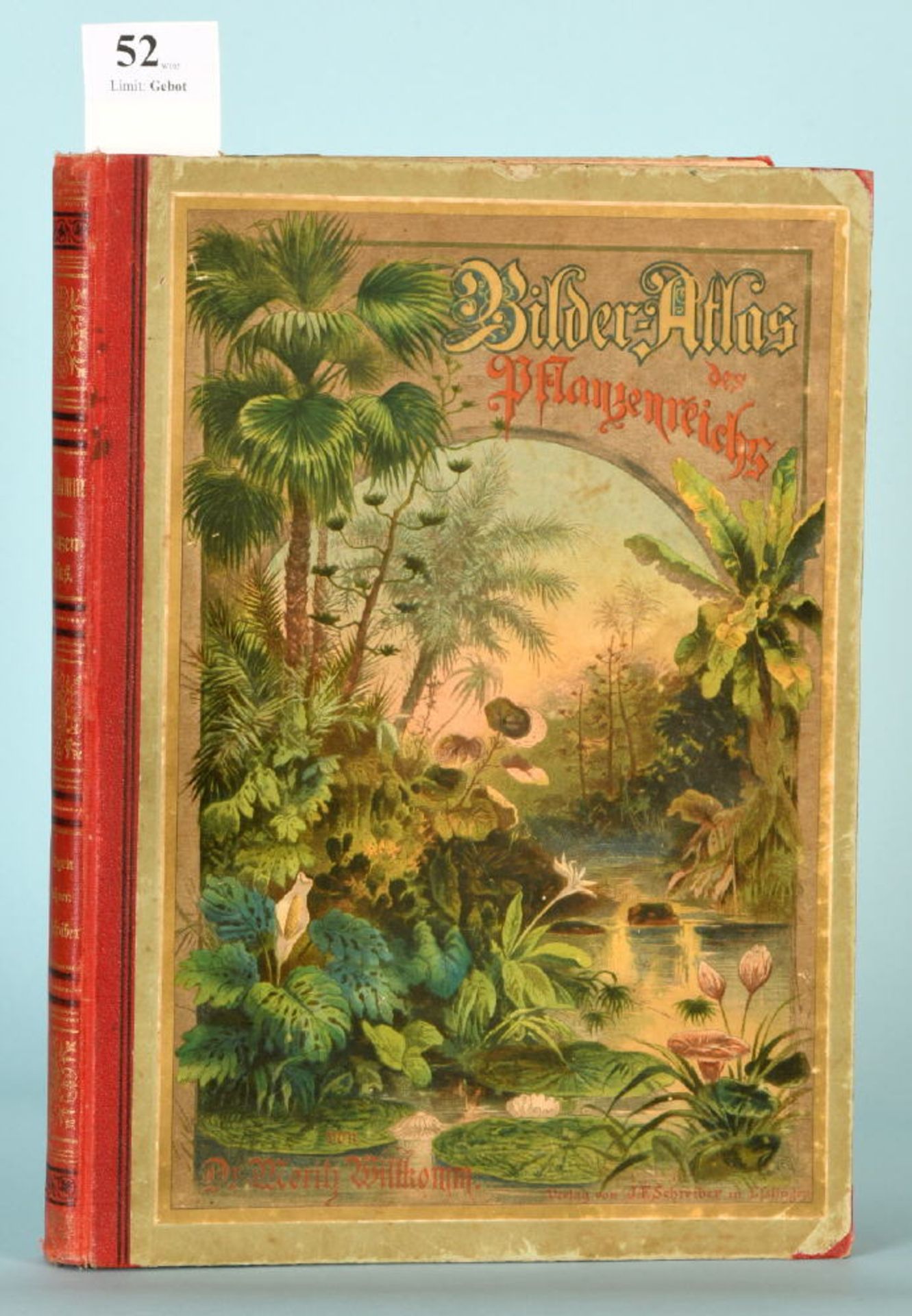 Willkomm, M. "Bilder-Atlas des Pflanzenreiches nach dem..."