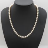 Fine quality 18" rope of cultured pearl 7mm with 9ct gold clasp
