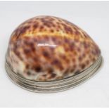 3.5" silver and cowrie shell snuff mull maker F B