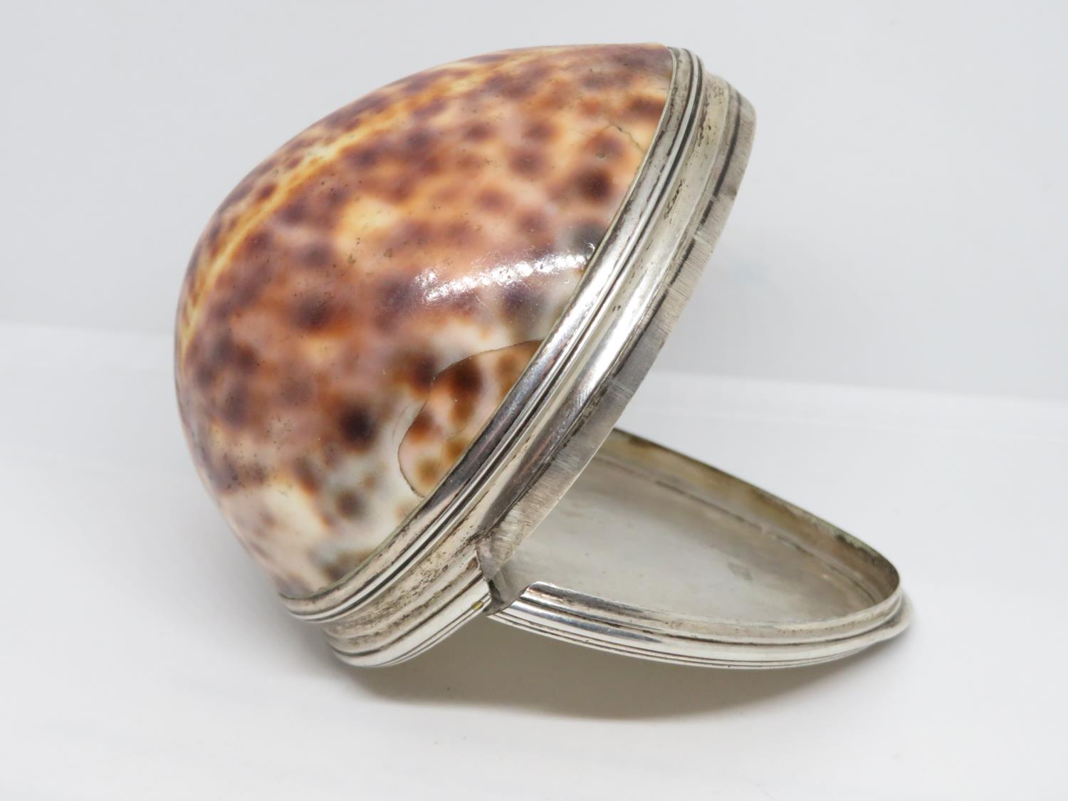 3.5" silver and cowrie shell snuff mull maker F B - Image 5 of 5