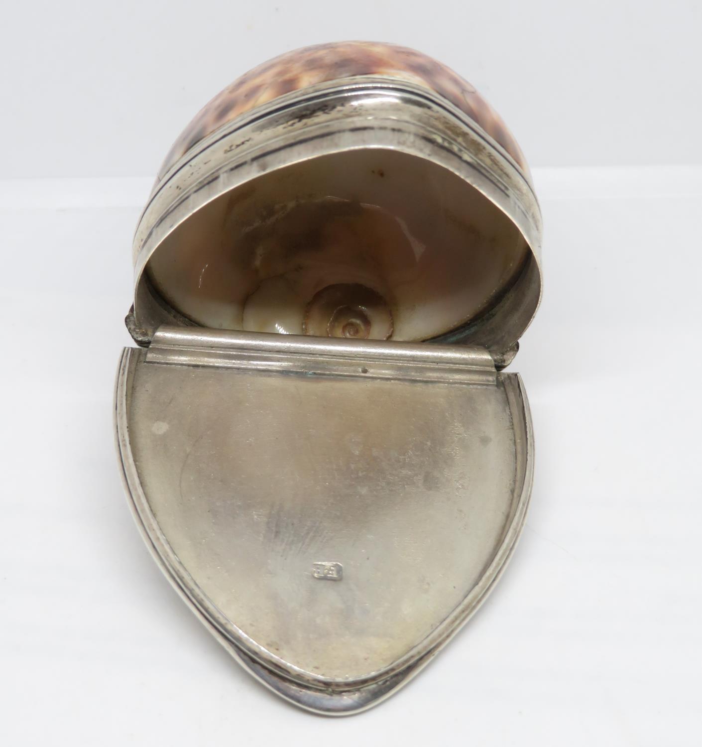 3.5" silver and cowrie shell snuff mull maker F B - Image 4 of 5