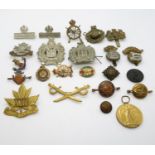 Collection of badges for military caps and WWI medal