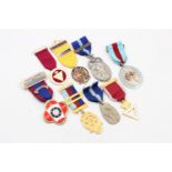 8 x Assorted Vintage MASONIC Medals / Jewels Inc Hospital, Centenary, Steward