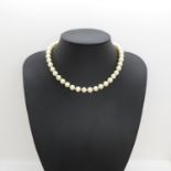 Strand of pearls on high carat gold Chinese clasp