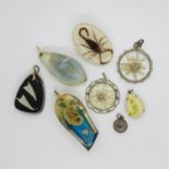 Selection of insects in epoxy resin