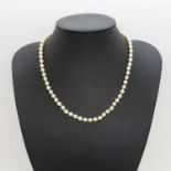 16" real pearl necklace with 9ct clasp