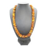 665g amber necklace