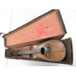 Boxed mandolin