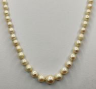 Pearl necklace, pearls increasing in size towards the center (largest 7,4mm), jewelry clasp set wit