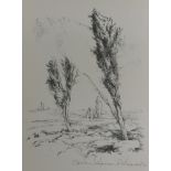 Unbekannt (20. Jahrhundert), "Moorlandschaft", Lithographie, unten rechts signiert, 40x29,5 cm