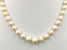 Akoya wedding necklace, necklace made of selected creamy white genuine saltwater cultured pearls, J