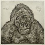 Unbekannt (20. Jahrhundert), "Gorilla", Radierung, links unten signiert, Ed. 12/12, 32x32 (Abbildun
